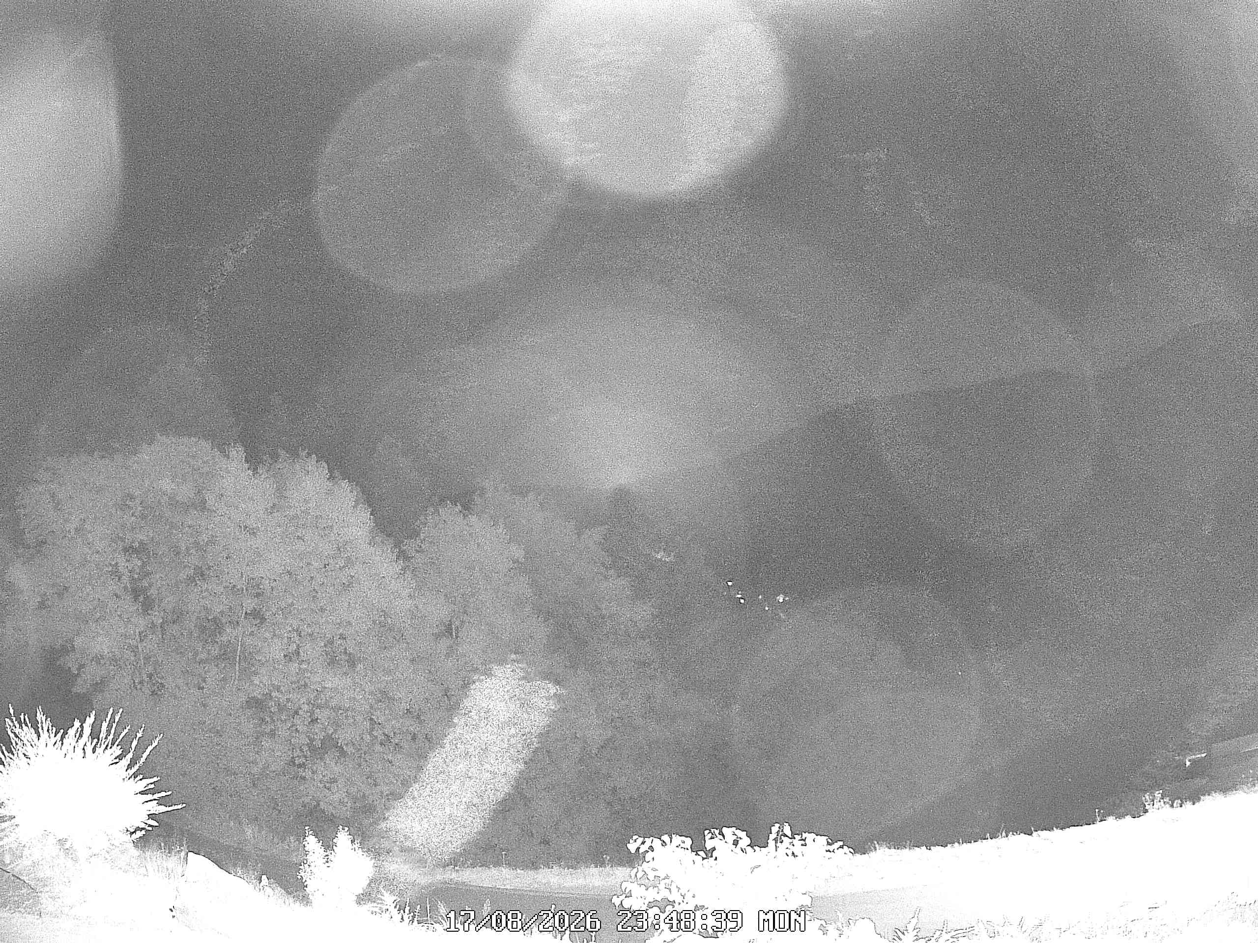 Aktuelles Webcam-Bild